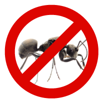 icon-pas-de-fourmis exterminateur-fourmis