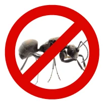 icon-pas-de-fourmis exterminateur-fourmis