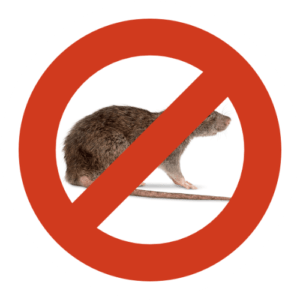 Un rat avec un panneau d'extermination