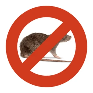 rat-extermination Un rat avec un panneau d'extermination