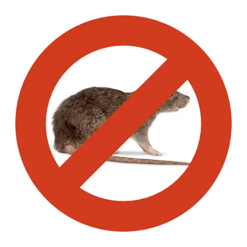 Un rat avec un panneau d'interdiction